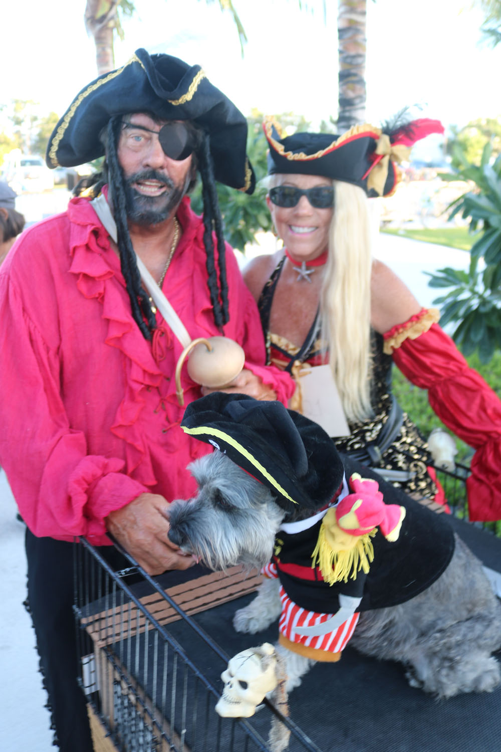 Pet Masquerade 2018 photo - Duval Street, Key West